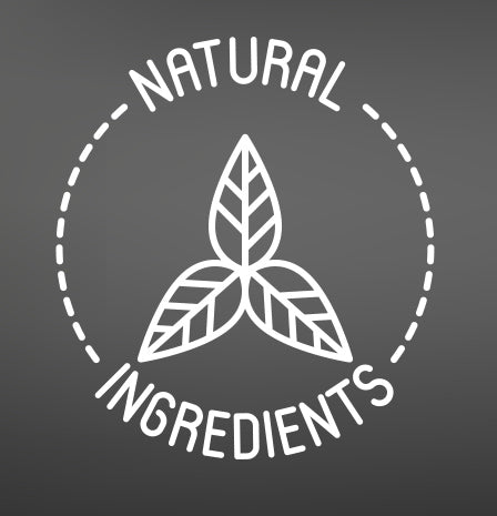 Ava's Lab HOLIDAY SIMMER POT KITS